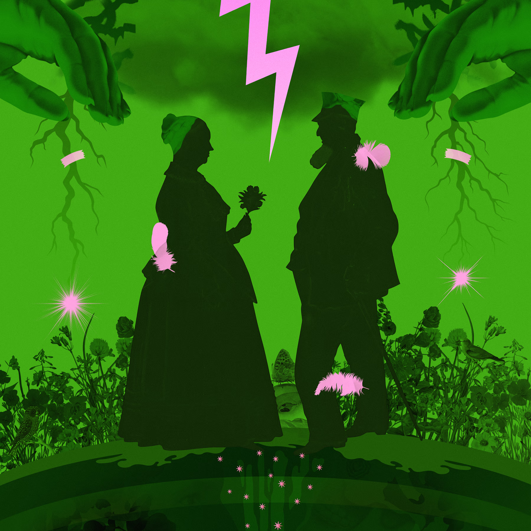 На зелёном фоне силуэты мужчины и женщины обращены друг к другу. Розовая молния сверху и растения внизу создают сюрреалистичную атмосферу.